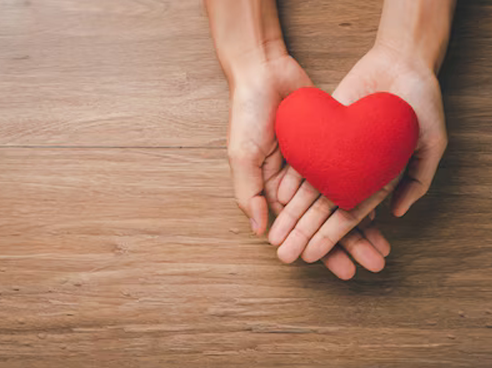 Donate and Support HVC